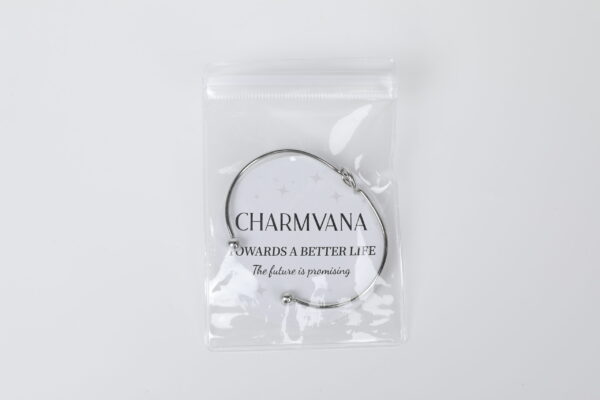 Charmvana Bracelet - Image 4