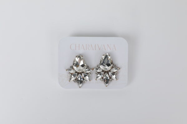 Charmvana Earrings - Image 2