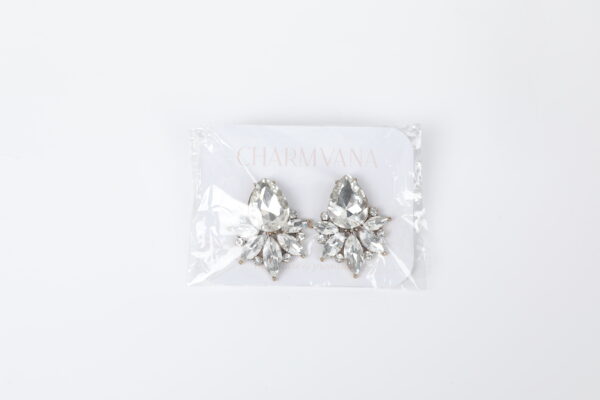 Charmvana Earrings